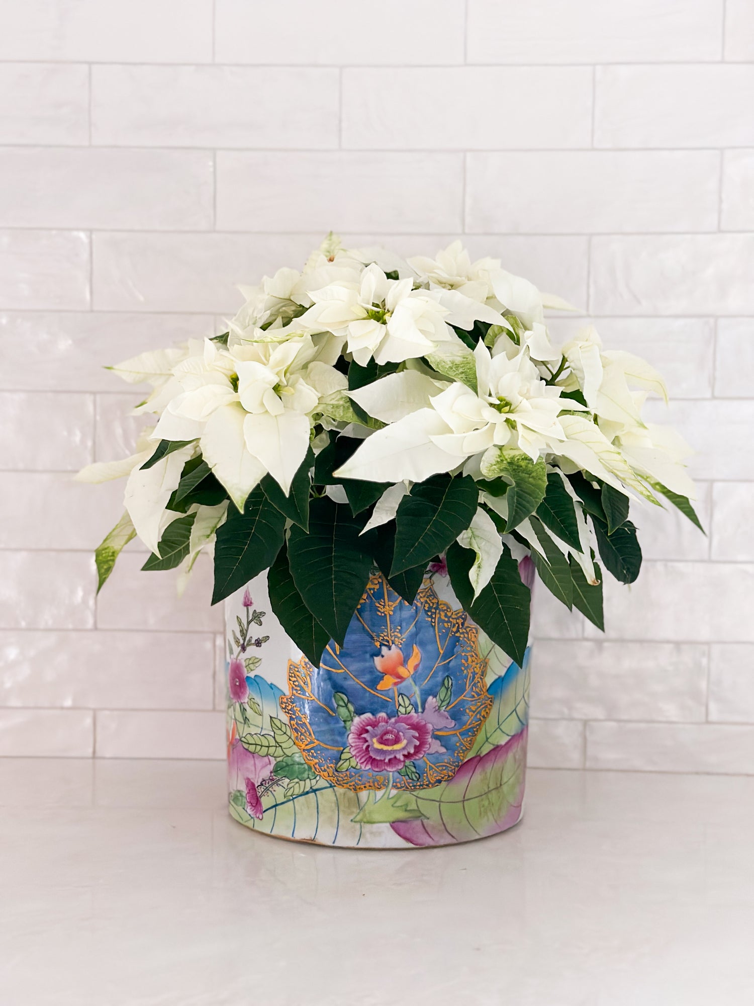 Tobacco Leaf china with plant