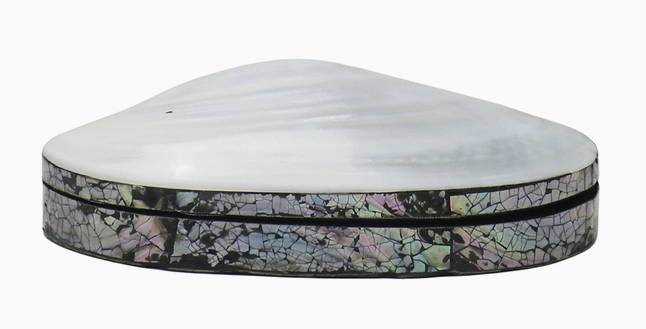 Shell Trinket Box with Clam Lid