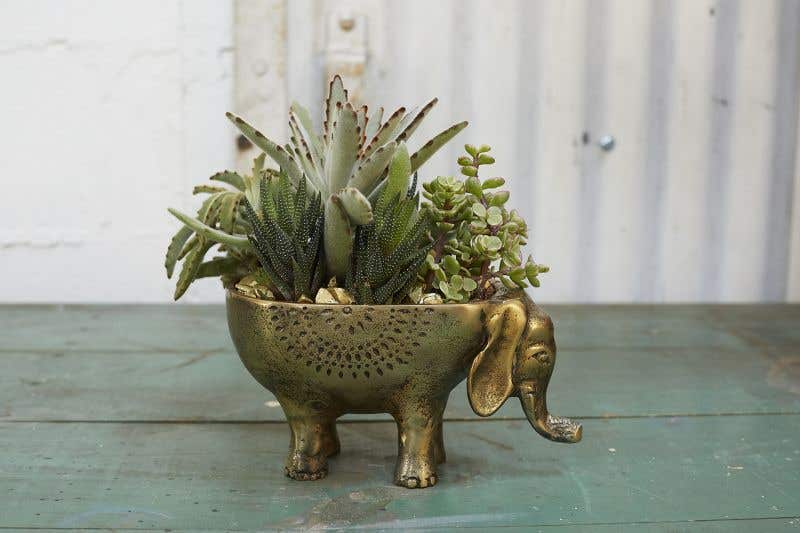 Ezzie Elephant Pot