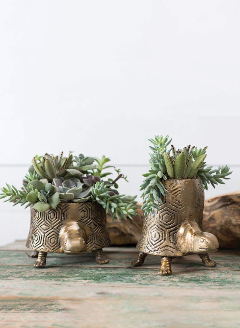 Antique brass turtle planter in tall and short.