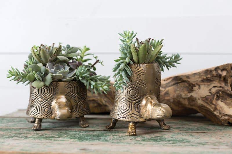 Antique brass turtle planter in tall and short.