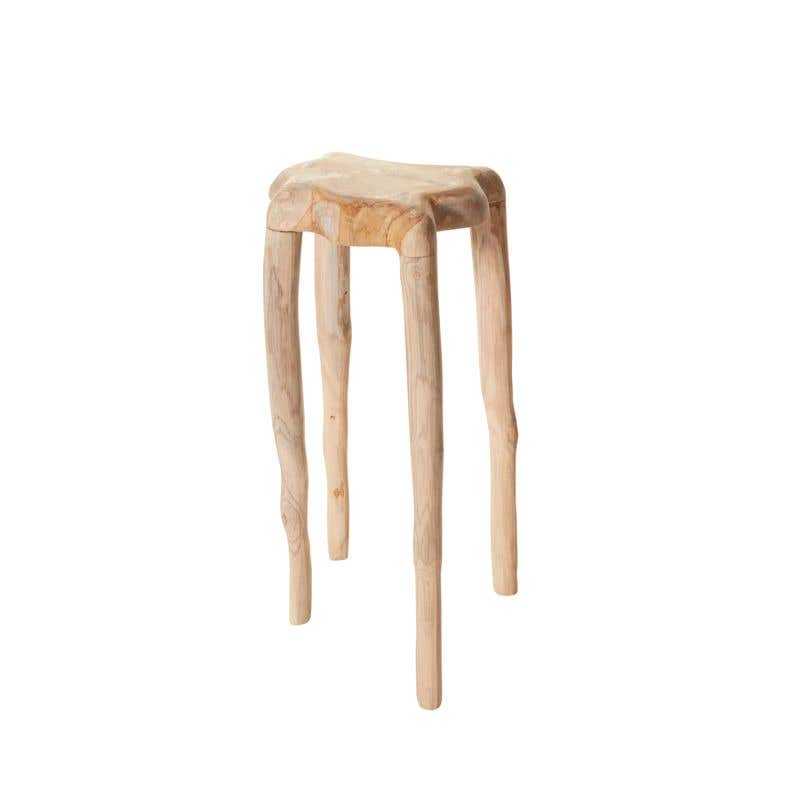 Teak table with irregular-shaped, natural top & legs can be used as a side table or plant stand.