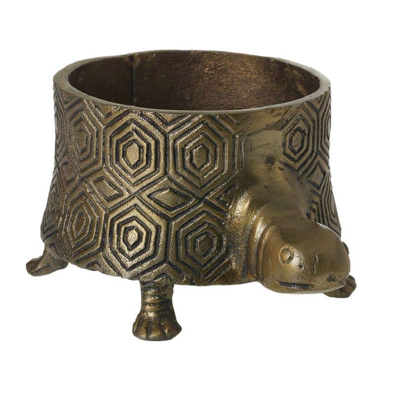 Antique brass turtle planter in tall and short.